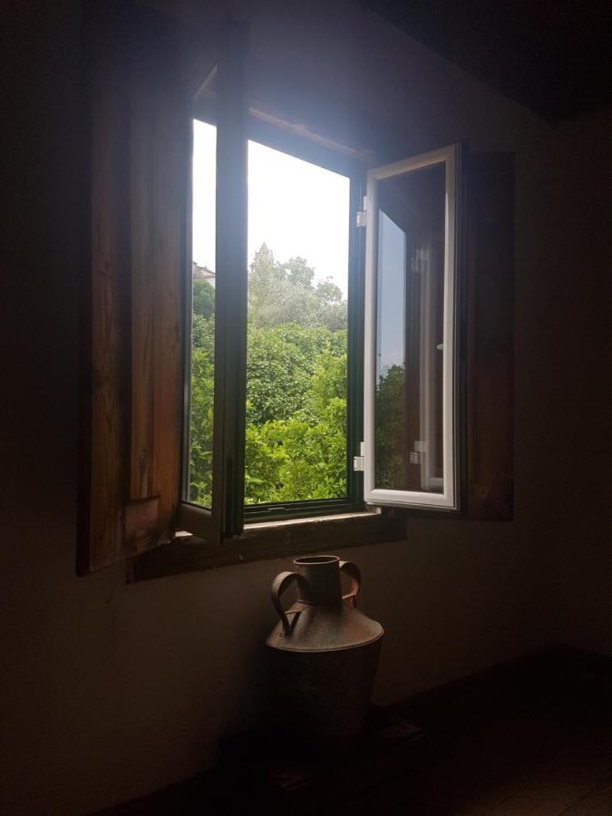Casa Da Vila Penamacor Exteriér fotografie
